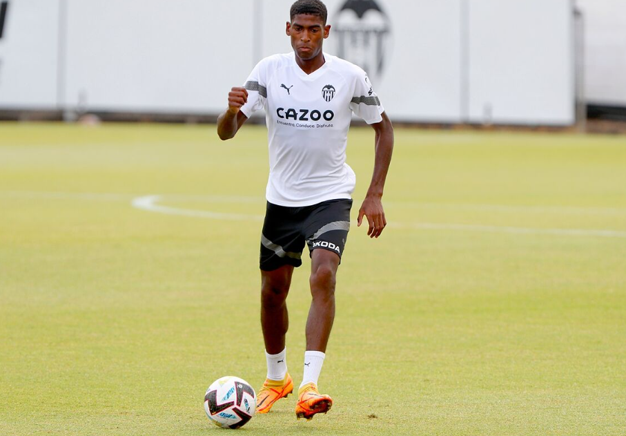 开云平台 -樱桃kgb树形修剪视频