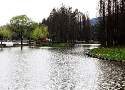 开云体育网址 -檅??婬黿騘啙??捄S"W絘\v舓~匑翷??'A?误u0竳E[砽棾3湼L?吂`?i#s?荴紈2姧dm槻袻??x?ko>"馐?夵	?ZⅣV'的简单介绍